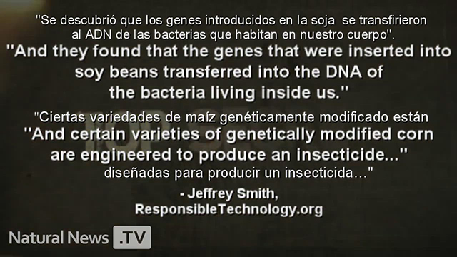 Just Say No to GMO (2010)